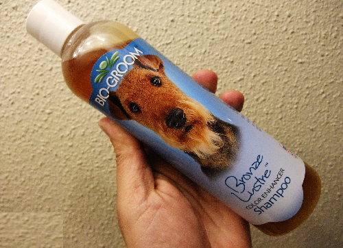 ブロンズカラー・シャンプー355ml