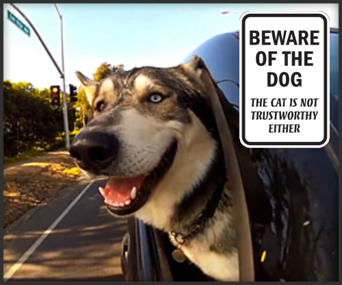 BEWARE OF THE DOG THE CAT IS NOT TRUSTWORTHY EITHER マグネットサイン
