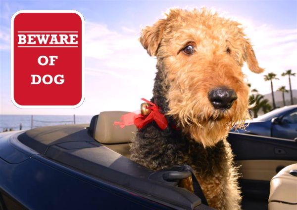 BEWARE OF DOG マグネットサイン