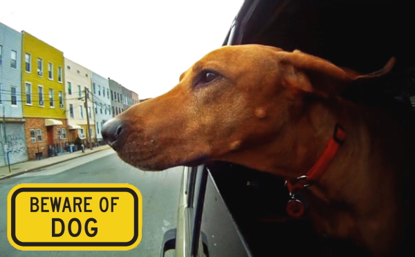 BEWARE OF DOG マグネットサイン