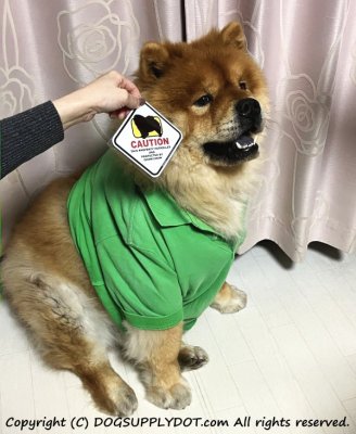 マグネットステッカー届きました！