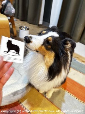 可愛いステッカー