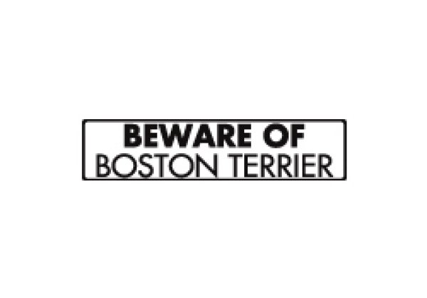 画像1: ボストンテリア注意 英語サインプレート アルミ素材 アメリカ輸入看板：BEWARE OF BOSTON TERRIER[MADE IN U.S.A] (1)