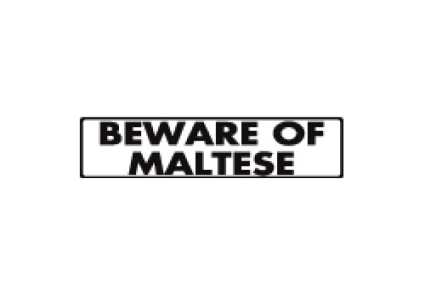 画像1: マルチーズ注意 英語サインプレート アルミ素材 アメリカ輸入看板：BEWARE OF MALTESE[MADE IN U.S.A] (1)