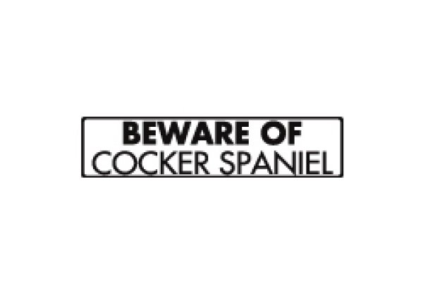 画像1: コッカースパニエル注意 英語サインプレート アルミ素材 アメリカ輸入看板：BEWARE OF COCKER SPANIEL[MADE IN U.S.A] (1)
