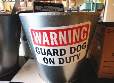 画像2: WARNING, GUARD DOG ON DUTYマグサイン