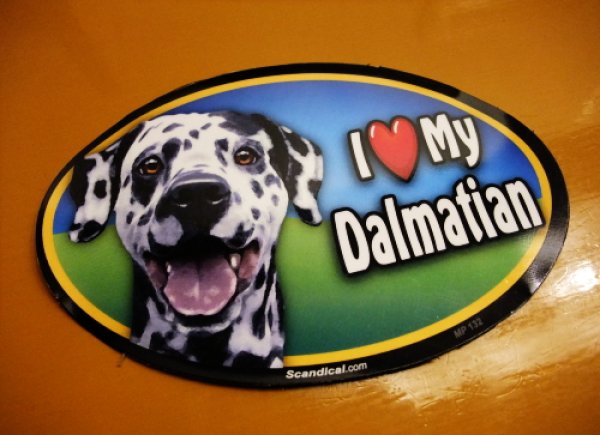 画像1: I Love My Dalmatian オーバルマグネットステッカー (1)