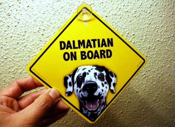 画像1: DALMATIAN ON BOARD ラミネートサイン(吸着盤つき) (1)