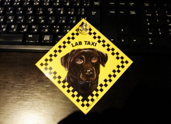 画像1: ラブ・タクシーのラミネートサイン(吸着盤つき) (1)