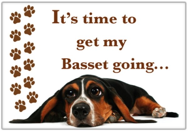 画像1: バセットハウンドのマグネット：get my Basset going...（アメリカ輸入品） (1)