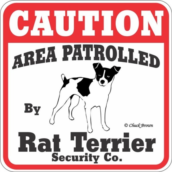 画像1: ラットテリア注意 英語看板 アメリカ輸入サインボード：CAUTION AREA PATROLLED By Rat Terrier Security Co.[MADE IN U.S.A] (1)