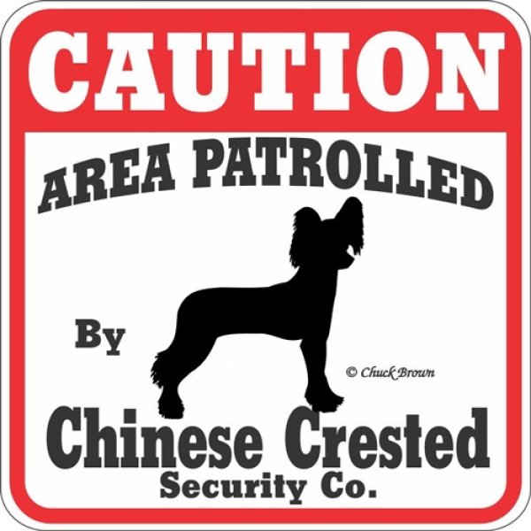 画像1: チャイニーズクレステッド注意 英語看板 アメリカ輸入サインボード：CAUTION AREA PATROLLED By Chinese Crested Security Co.[MADE IN U.S.A] (1)