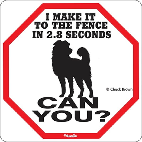 画像1: 犬警戒中 英語看板 アメリカ輸入サインボード：I MAKE IT TO THE FENCE IN 2.8 SECONDS DOG CAN YOU? [MADE IN U.S.A] (1)