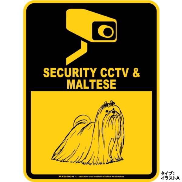 画像1: マルチーズ＆防犯カメラ 監視 警戒中 英語 マグサイン(マグネット/ステッカー)：SECURITY CCTV ＆ MALTESE [MAGSIGN] (1)