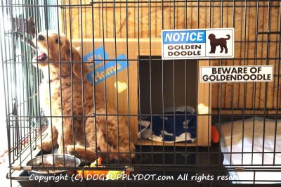 画像1: [MAGSIGN] BEWARE OF GOLDENDOODLE マグネット＆ステッカー：ゴールデンドゥードル