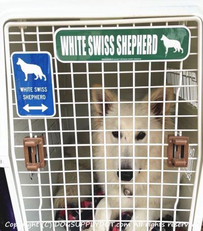 画像1: WHITE SWISS SHEPHERD [MAGSIGN] シルエット＆矢印 アメリカン道路標識 英語犬種名 マグネット/ステッカー：ブルー