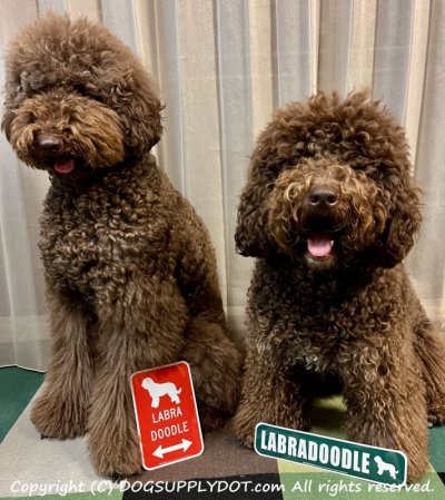 画像1: LABRADOODLE [MAGSIGN] シルエット＆矢印 アメリカン道路標識 英語犬種名 マグネット/ステッカー：レッド