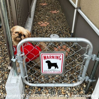 画像1: [MAGSIGN] BRUSSELS GRIFFON 注意 英語 WARNING 警告/保護/警戒 車 屋外用 マグネット＆ステッカー 日本製：ブリュッセルグリフォン