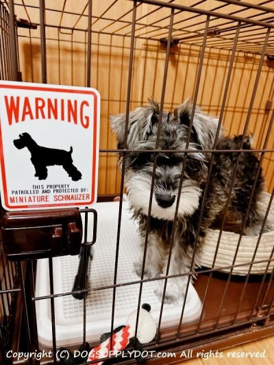 画像1: [MAGSIGN] MINIATURE SCHNAUZER 注意 英語 WARNING 警告/保護/警戒 車 屋外用 マグネット＆ステッカー 日本製：ミニチュアシュナウザー