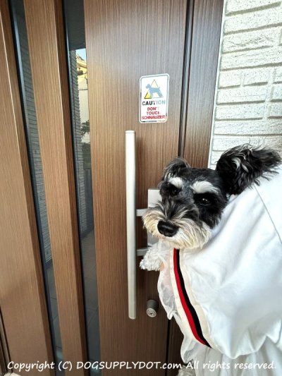 画像2: [MAGSIGN] 犬に手を出さない/触れない/さわらない マグネット＆ステッカー 英語 注意 日本製 CAUTION DON'T TOUCH：ミニチュアシュナウザー
