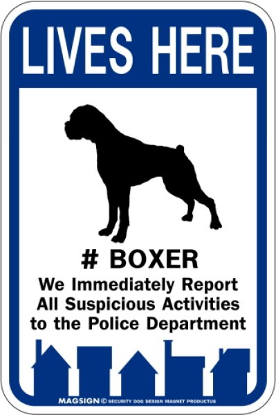 画像1: [MAGSIGN] ボクサー ここにいます 英語 LIVES HERE #BOXER マグネット＆ステッカー 車/屋外用 日本製 (1)