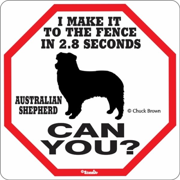 画像1: オーストラリアンシェパード警戒中 英語看板 アメリカ輸入サインボード：I MAKE IT TO THE FENCE IN 2.8 SECONDS AUSTRALIAN SHEPHERD  CAN YOU? [MADE IN U.S.A] (1)