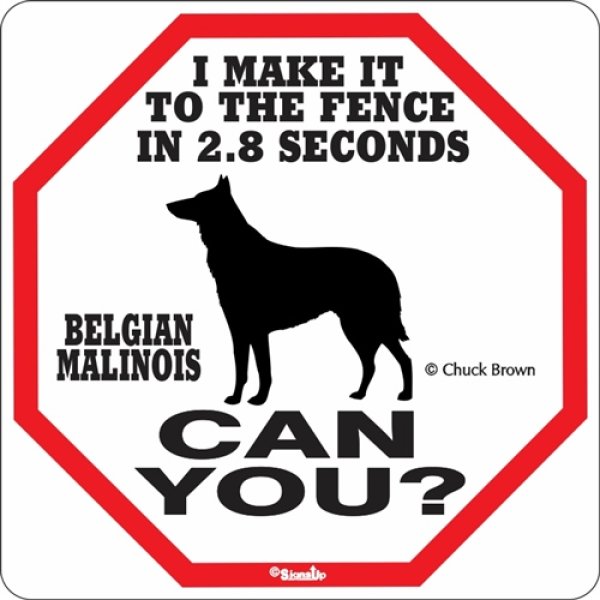 画像1: ベルジアンマリノア警戒中 英語看板 アメリカ輸入サインボード：I MAKE IT TO THE FENCE IN 2.8 SECONDS BELGIAN MALINOIS CAN YOU? [MADE IN U.S.A] (1)