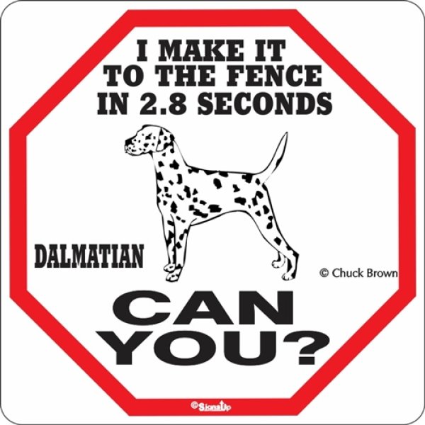 画像1: ダルメシアン警戒中 英語看板 アメリカ輸入サインボード：I MAKE IT TO THE FENCE IN 2.8 SECONDS DALMATIAN CAN YOU? [MADE IN U.S.A] (1)