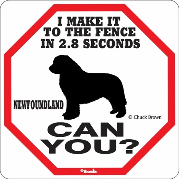 画像1: ニューファンドランド警戒中 英語看板 アメリカ輸入サインボード：I MAKE IT TO THE FENCE IN 2.8 SECONDS NEWFOUNDLAND CAN YOU? [MADE IN U.S.A] (1)