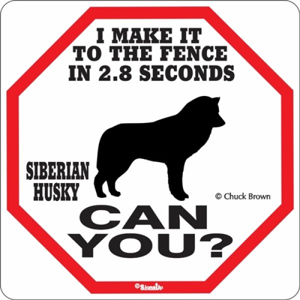 画像1: シベリアンハスキー警戒中 英語看板 アメリカ輸入サインボード：I MAKE IT TO THE FENCE IN 2.8 SECONDS SIBERIAN HUSKY CAN YOU? [MADE IN U.S.A] (1)