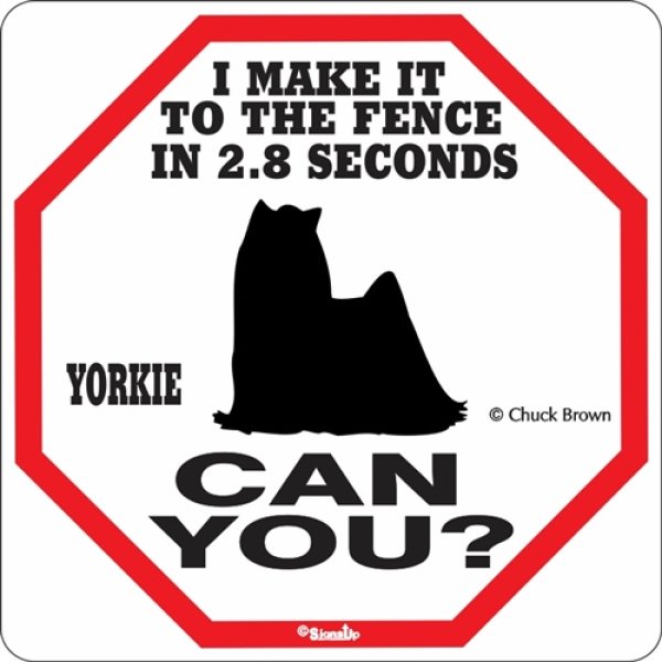 画像1: ヨーキー警戒中 英語看板 アメリカ輸入サインボード：I MAKE IT TO THE FENCE IN 2.8 SECONDS YORKIE CAN YOU? [MADE IN U.S.A] (1)