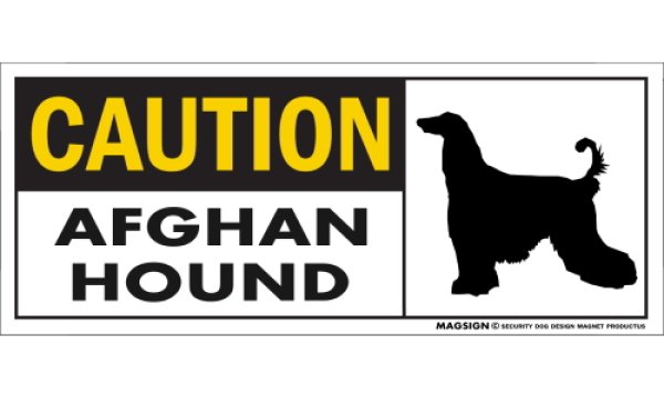 画像1: [MAGSIGN] アフガンハウンド マグネット＆ステッカー 英語 警戒 CAUTION AFGHAN HOUND 対象:車(ドア/ガラス/ボディ)・屋外(玄関扉/窓ガラス/メールポスト) 日本製 (1)