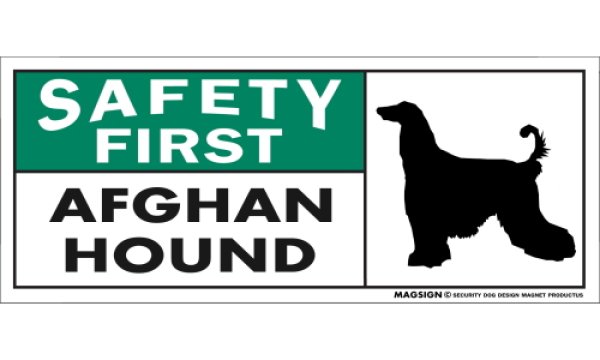 画像1: [MAGSIGN] アフガンハウンド マグネット＆ステッカー 英語 安全第一 SAFETY FIRST AFGHAN HOUND 対象:車(ドア/ガラス/ボディ)・屋外(玄関扉/窓ガラス/メールポスト) 日本製 (1)