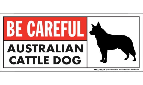 画像1: [MAGSIGN] オーストラリアンキャトルドッグ マグネット＆ステッカー (犬)気を付けて 英語 BE CAREFUL AUSTRALIAN CATTLE DOG 対象:車(ドア/ガラス/ボディ)・屋外(玄関扉/窓ガラス/メールポスト) 日本製 (1)