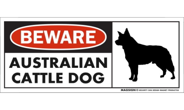 画像1: [MAGSIGN] オーストラリアンキャトルドッグ マグネット＆ステッカー 犬 注意 英語 BEWARE AUSTRALIAN CATTLE DOG 対象:車(ドア/ガラス/ボディ)・屋外(玄関扉/窓ガラス/メールポスト) 日本製 (1)