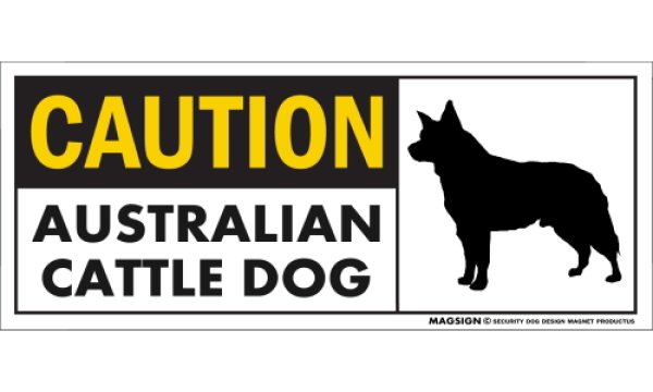 画像1: [MAGSIGN] オーストラリアンキャトルドッグ マグネット＆ステッカー 英語 警戒 CAUTION AUSTRALIAN CATTLE DOG 対象:車(ドア/ガラス/ボディ)・屋外(玄関扉/窓ガラス/メールポスト) 日本製 (1)