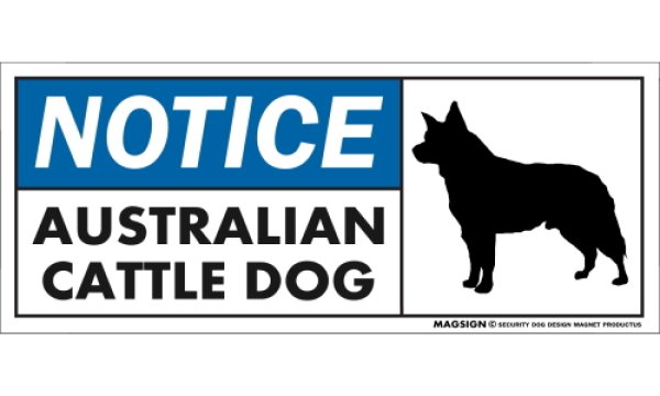 画像1: [MAGSIGN] オーストラリアンキャトルドッグ マグネット＆ステッカー 英語 お知らせ NOTICE AUSTRALIAN CATTLE DOG 対象:車(ドア/ガラス/ボディ)・屋外(玄関扉/窓ガラス/メールポスト) 日本製 (1)