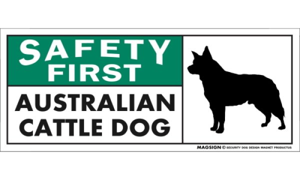 画像1: [MAGSIGN] オーストラリアンキャトルドッグ マグネット＆ステッカー 英語 安全第一 SAFETY FIRST AUSTRALIAN CATTLE DOG 対象:車(ドア/ガラス/ボディ)・屋外(玄関扉/窓ガラス/メールポスト) 日本製 (1)