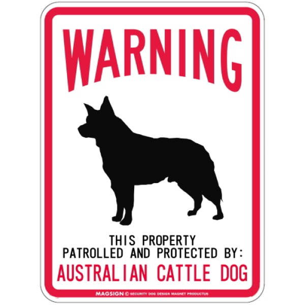 画像1: [MAGSIGN] AUSTRALIAN CATTLE DOG 注意 英語 WARNING 警告/保護/警戒 車 屋外用 マグネット＆ステッカー 日本製：オーストラリアンキャトルドッグ (1)