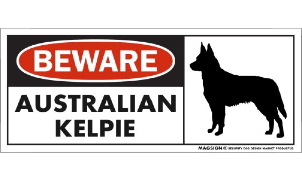 画像1: [MAGSIGN] オーストラリアンケルピー マグネット＆ステッカー 犬 注意 英語 BEWARE AUSTRALIAN KELPIE 対象:車(ドア/ガラス/ボディ)・屋外(玄関扉/窓ガラス/メールポスト) 日本製 (1)