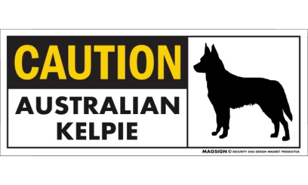 画像1: [MAGSIGN] オーストラリアンケルピー マグネット＆ステッカー 英語 警戒 CAUTION AUSTRALIAN KELPIE 対象:車(ドア/ガラス/ボディ)・屋外(玄関扉/窓ガラス/メールポスト) 日本製 (1)