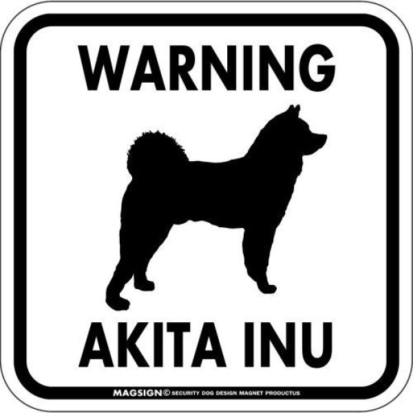 画像1: [MAGSIGN] WARNING AKITA INU マグネット＆ステッカー：秋田犬(ホワイト/イエロー/オレンジ) 注意 英語 正方形 車＆屋外用(防水性/耐光性) 日本製 (1)