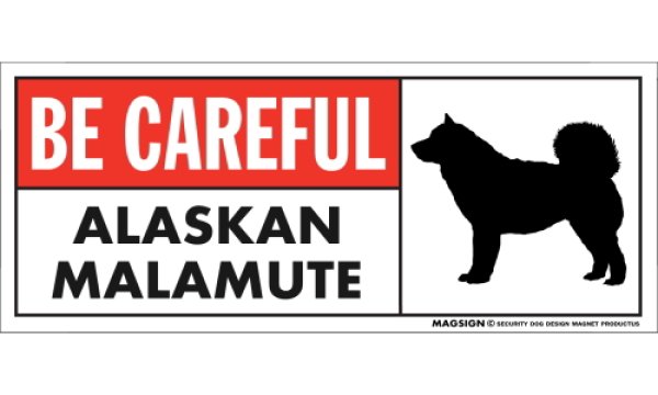 画像1: [MAGSIGN] アラスカンマラミュート マグネット＆ステッカー (犬)気を付けて 英語 BE CAREFUL ALASKAN MALAMUTE 対象:車(ドア/ガラス/ボディ)・屋外(玄関扉/窓ガラス/メールポスト) 日本製 (1)
