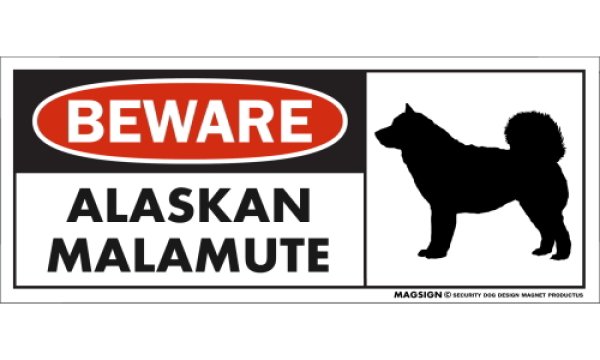 画像1: [MAGSIGN] アラスカンマラミュート マグネット＆ステッカー 犬 注意 英語 BEWARE ALASKAN MALAMUTE 対象:車(ドア/ガラス/ボディ)・屋外(玄関扉/窓ガラス/メールポスト) 日本製 (1)