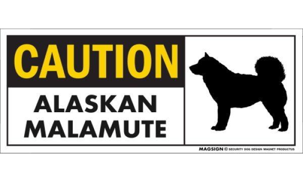 画像1: [MAGSIGN] アラスカンマラミュート マグネット＆ステッカー 英語 警戒 CAUTION ALASKAN MALAMUTE 対象:車(ドア/ガラス/ボディ)・屋外(玄関扉/窓ガラス/メールポスト) 日本製 (1)