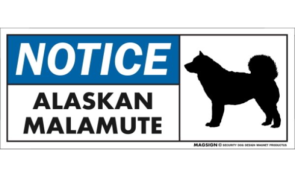 画像1: [MAGSIGN] アラスカンマラミュート マグネット＆ステッカー 英語 お知らせ NOTICE ALASKAN MALAMUTE 対象:車(ドア/ガラス/ボディ)・屋外(玄関扉/窓ガラス/メールポスト) 日本製 (1)