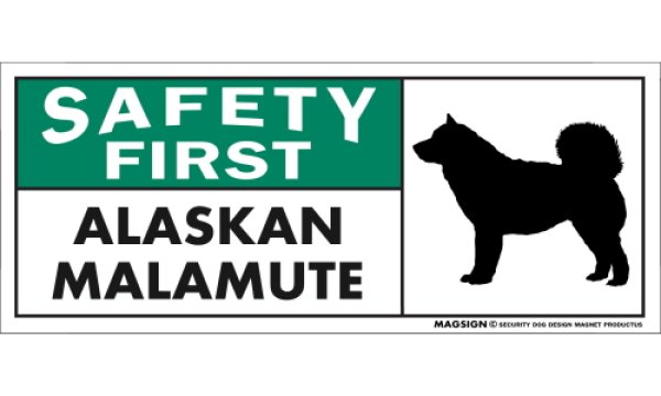 画像1: [MAGSIGN] アラスカンマラミュート マグネット＆ステッカー 英語 安全第一 SAFETY FIRST ALASKAN MALAMUTE 対象:車(ドア/ガラス/ボディ)・屋外(玄関扉/窓ガラス/メールポスト) 日本製 (1)