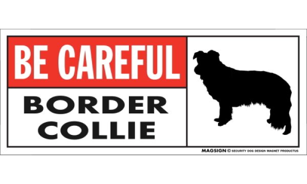 画像1: [MAGSIGN] ボーダーコリー マグネット＆ステッカー (犬)気を付けて 英語 BE CAREFUL BORDER COLLIE 対象:車(ドア/ガラス/ボディ)・屋外(玄関扉/窓ガラス/メールポスト) 日本製 (1)