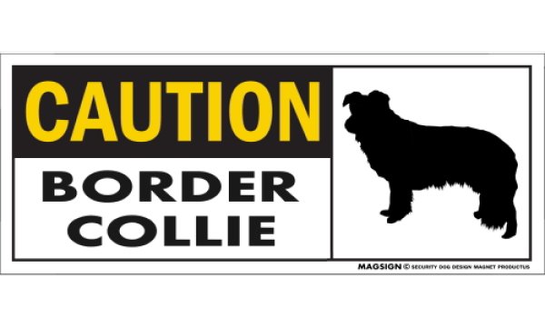 画像1: [MAGSIGN] ボーダーコリー マグネット＆ステッカー 英語 警戒 CAUTION BORDER COLLIE 対象:車(ドア/ガラス/ボディ)・屋外(玄関扉/窓ガラス/メールポスト) 日本製 (1)