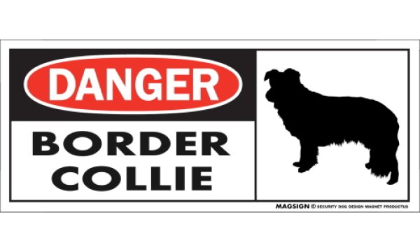 画像1: [MAGSIGN] ボーダーコリー マグネット＆ステッカー 英語 危ない 危険 DANGER BORDER COLLIE 対象:車(ドア/ガラス/ボディ)・屋外(玄関扉/窓ガラス/メールポスト) 日本製 (1)